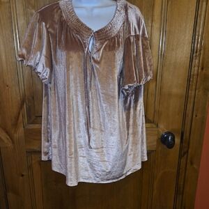 Chic Velvet Blouse in Soft Tan